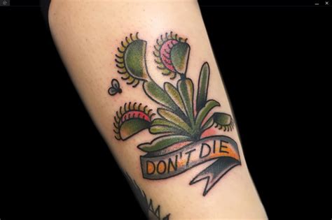 Venus flytrap tattoo - Illustration about artistic, book, decoration, fairy, face, fashion, concept, girl, flytrap, cartoon, card, drawing - 107384236 Dreamstime logo or Sign in Sign up for free Prices and download plans